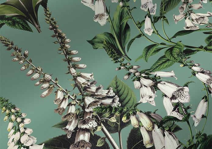 Foxcote, Daws - Roller Blind - Image 4